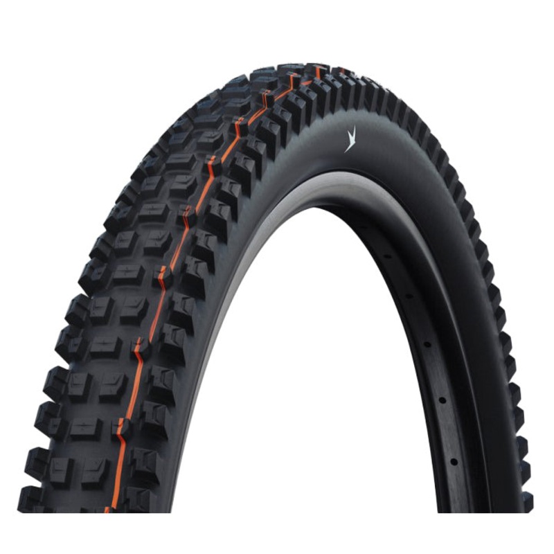 Schwalbe Albert Gravity Pro E50 Tire 29×2.6″ Addix Soft