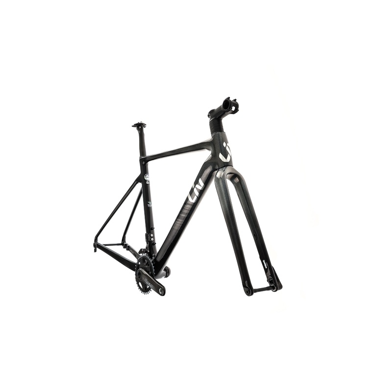Liv Brava Advanced Pro Women’s Small Frameset – 2021