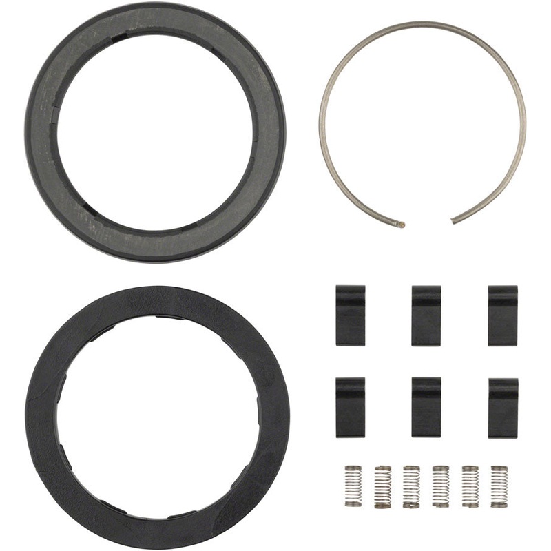 Zipp Spring and Pawl Set – ZR1