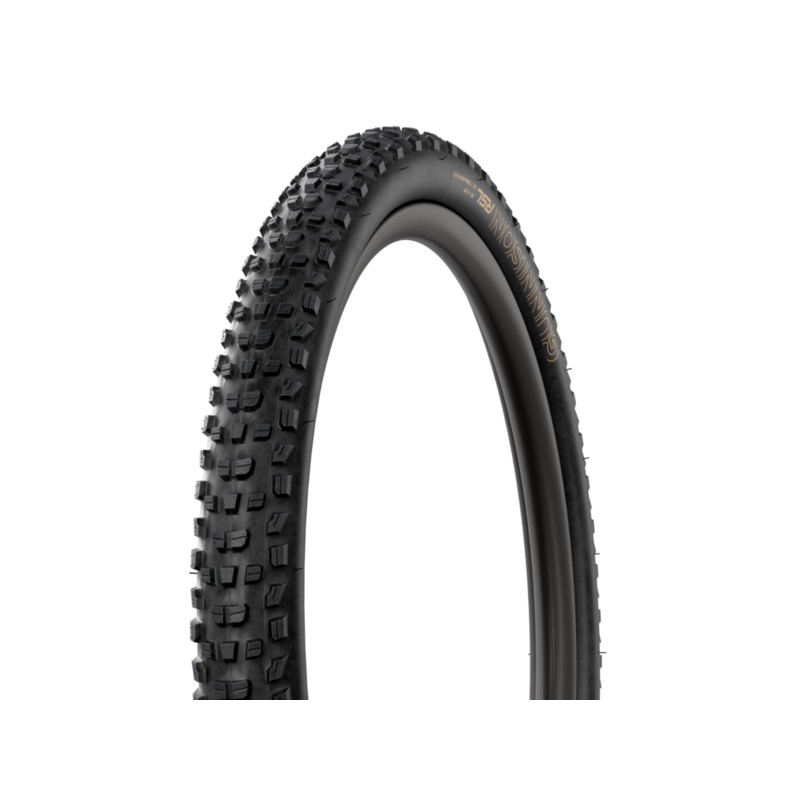 Bontrager Gunnison RSL XT TLR MTB Tire