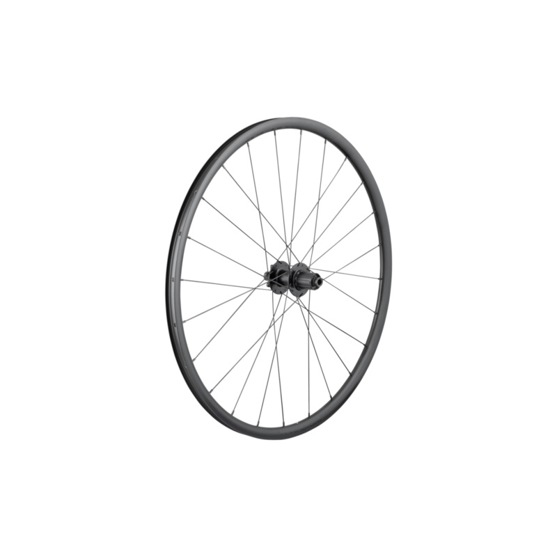 Bontrager Paradigm SL 6-Bolt Disc 24H 700c Road Rear Wheel